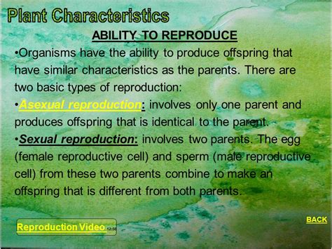 produce offspring that are similar to the parents